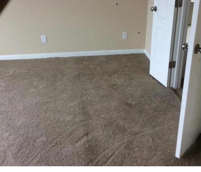clean dry carpet