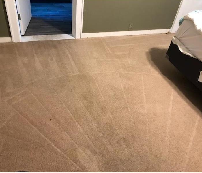 clean bedroom carpeting