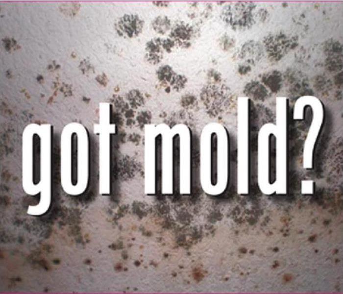 Mold on Walls